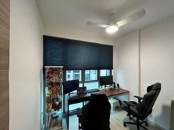The Canopy (D27), Condominium #551122541